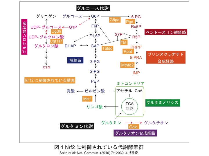 図1